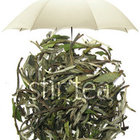 White Peony from Stir Tea