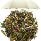 White Tea Pomegranate from Stir Tea