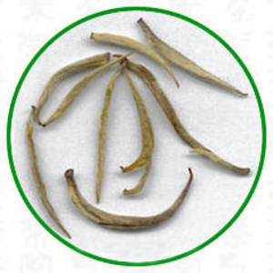 Yin Zhen Silver Needle from Dobra Tea