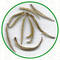 Yin Zhen Silver Needle from Dobra Tea
