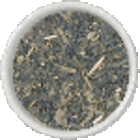 Pear & Green Tea from Tealuxe