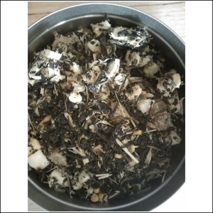 Black Honey from Sugar Inc.