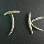 Organic Silver Needle White Tea from JK Tea Shop