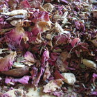 Durga Rooibos from Goddess Tea