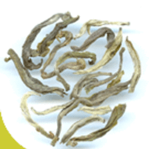 DARJEELING THURBO DJ2 F.T.G.F.O.P.1 - 2010 FIRST FLUSH from Le Palais des Thes