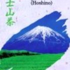 Gyokuro Hoshino from shizuokatea.com