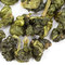 Formosa Ali Shan from Adagio Teas