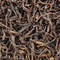 Huang Zhi  (Yellow Sprig) Dan Cong Oolong 2009 from Seven Cups