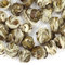 Fujian Jasmine Pearls from Adagio Teas
