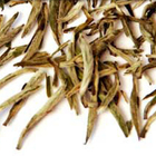 Silver Needle from Shanti Tea