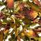 White Rose from Shanti Tea