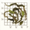 North Tukvar Estate 1st Fl Darjeeling SFTGFOP1 (DJ-24) TD63 from Upton Tea Imports