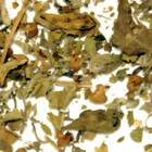 Tulsi (Holy Basil) from Shanti Tea