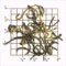Silvery Jun Mee from Upton Tea Imports