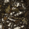 Premium Formosa Fancy Oolong (TT35) from Upton Tea Imports