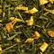 Orange Julep (organic) from DAVIDsTEA