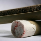 2008 Yi Wu Mountain Bamboo Roasted Pu-erh from Norbu Tea