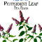 Peppermint from Alvita