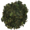 Rainforest Mint Guayusa from Runa