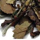 Organic Monkey-Picked White from The Tea Spot