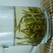 2010 pre-Qingming Semi-wild Huang Shan Mao Feng (Yellow Mountain Peak) from Life In Teacup