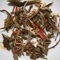 Tangerine Green from Tea Market