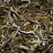 Thurbo white delight Ex-1 1st Flush 2010 from Tea Emporium