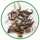 Bai Hao from Dobra Tea