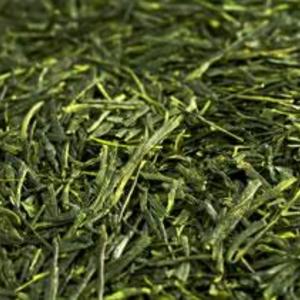 Sencha Ashikubo from DAVIDsTEA