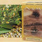 Chamomile Lemon Myrtle from Numi Organic Tea