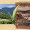 Chinese Breakfast Yunnan Black Tea from Numi Organic Tea