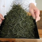 Temomi Shincha from Sugimoto America