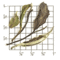 Organic Pai Mu Tan ZW56 from Upton Tea Imports