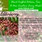 Elderberry Green Tea from 52teas