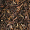 Margaret's Hope Darjeeling from Chado