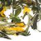 White Peach from Adagio Teas
