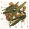 TJ22: Gen-mai Cha Kamakura from Upton Tea Imports