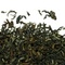 Darjeeling SFTGFOP1 Muskatell Puttabong from Tea & Tea