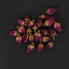 Rose Buds from Teatower