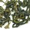 Pouchong from Adagio Teas