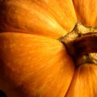 Pumpkin Patch Rooibos from Adagio Teas