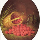 Chocolate Raspberry Honeybush from Adagio Teas