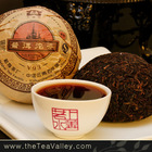 2009 Menghai Dayi V93 Pu’erh Tuocha from Tea Valley