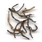 Assam Maijian T.G.F.O.P. Second Flush from Le Palais des Thes
