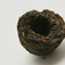 Chrysanthemum Pu-erh Tuocha from Chicago Tea Garden