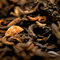 Caramel Pu-erh from BourgeaTEA