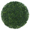 Kagoshima Shincha Sae Midori from Rishi Tea