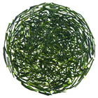 Nishi-san's Shincha Yabukita from Rishi Tea