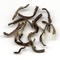 Darjeeling Castleton T.F.G.F.O.P. Second Flush from Le Palais des Thes