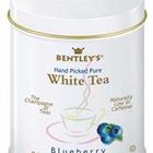 BLUEBERRY FLAVORED 100% PURE WHITE TEA from Bentleys Finest Tea
